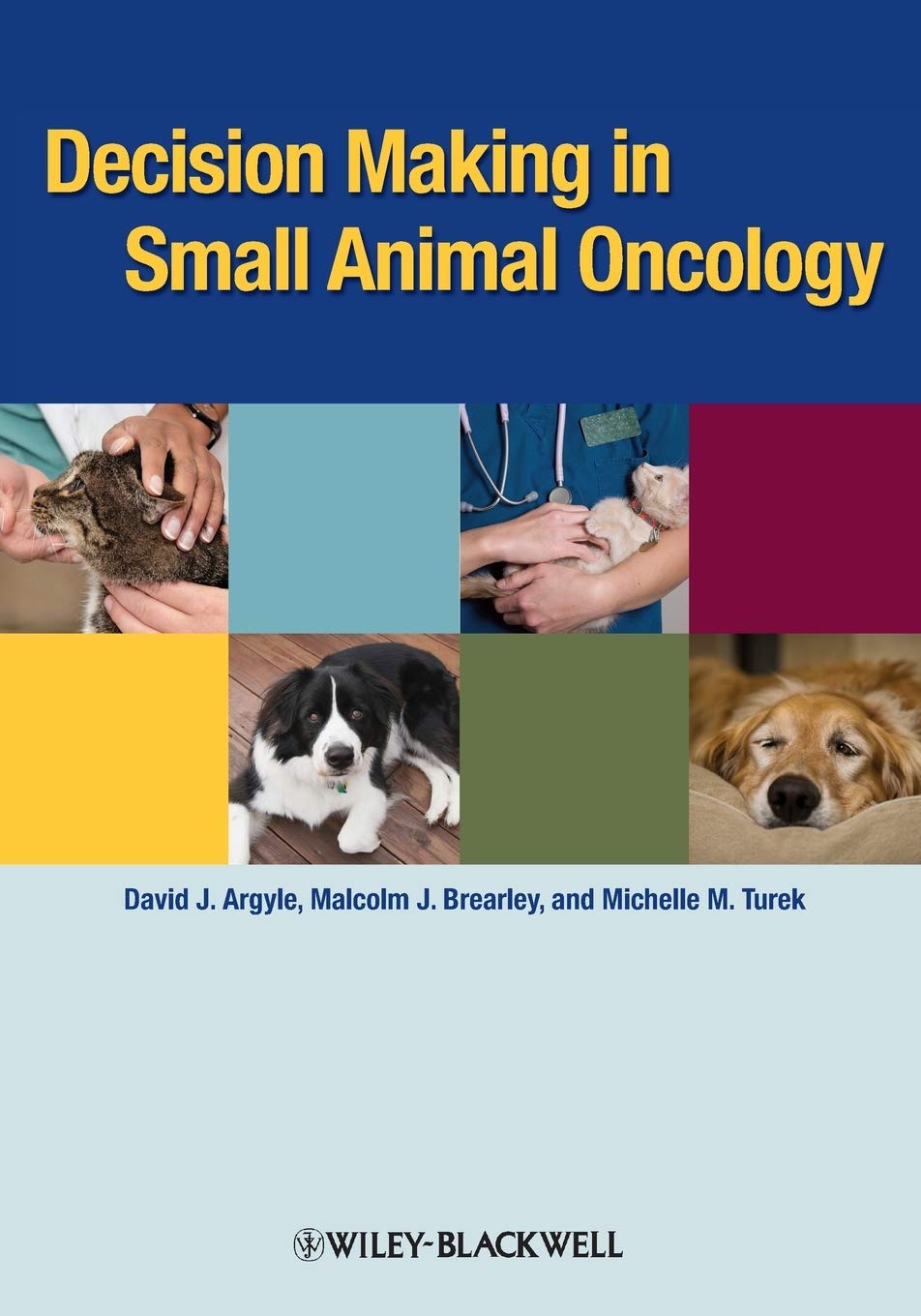 Decision Making in Small Animal Oncology 1st Edition