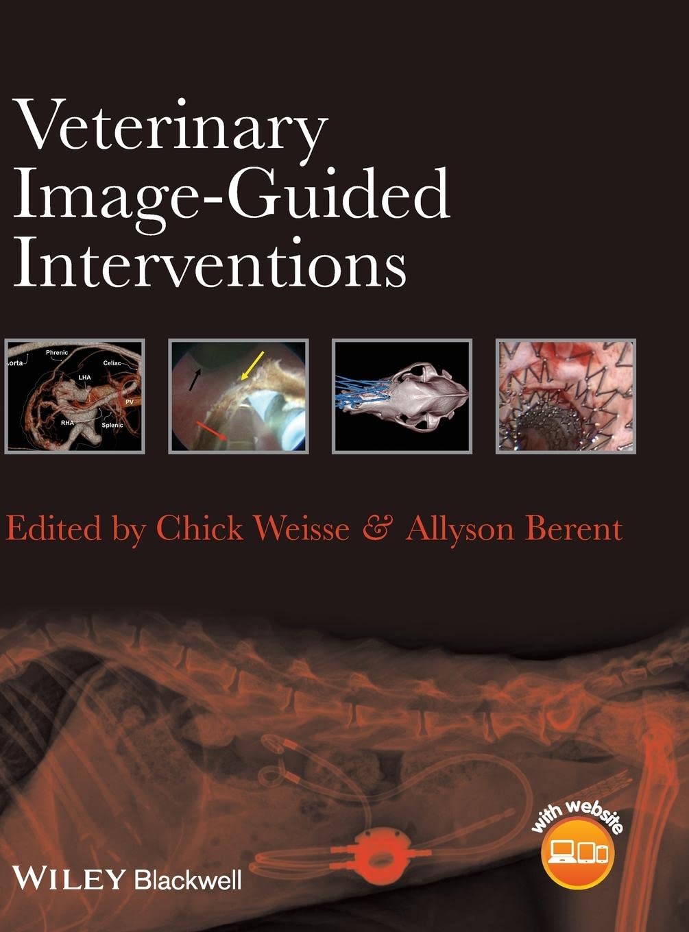Veterinary Image-Guided Interventions 1st Edition