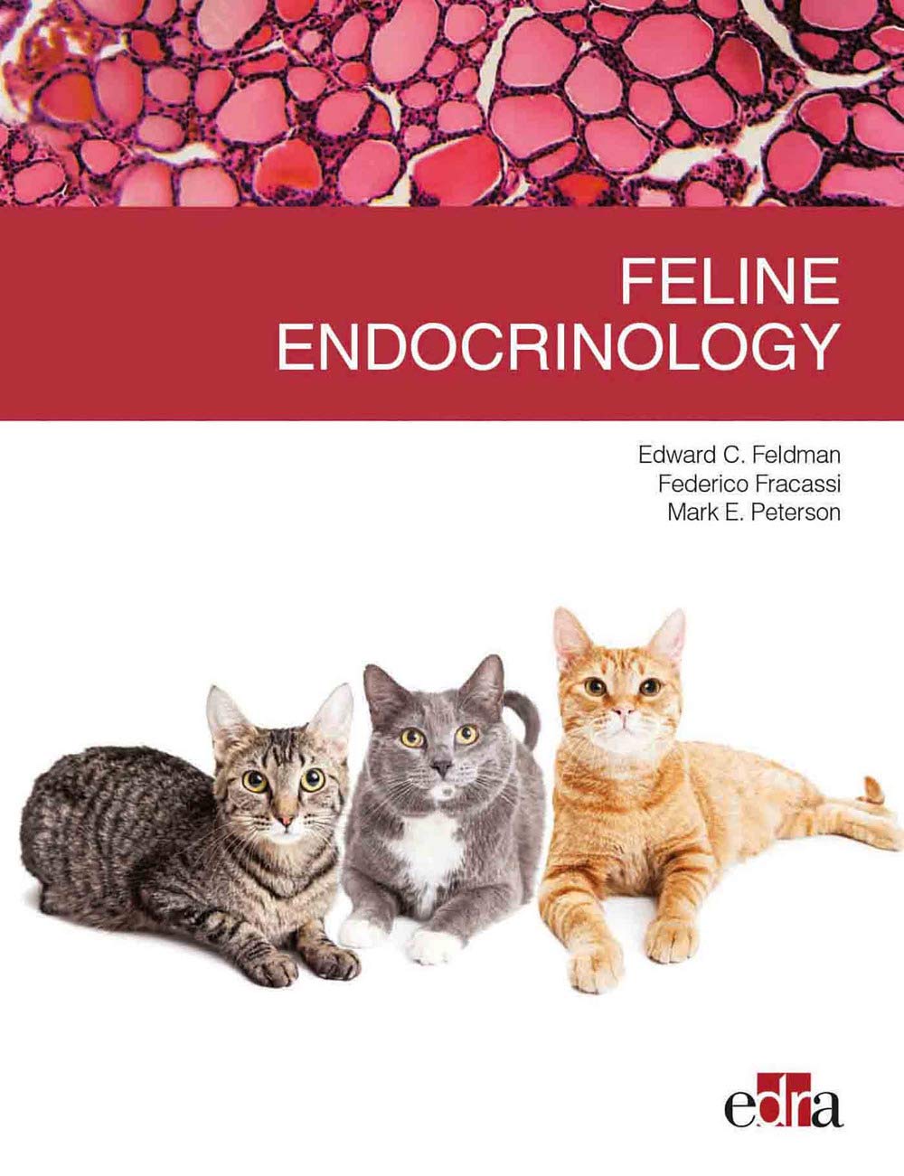 Feline endocrinology 1st Edition