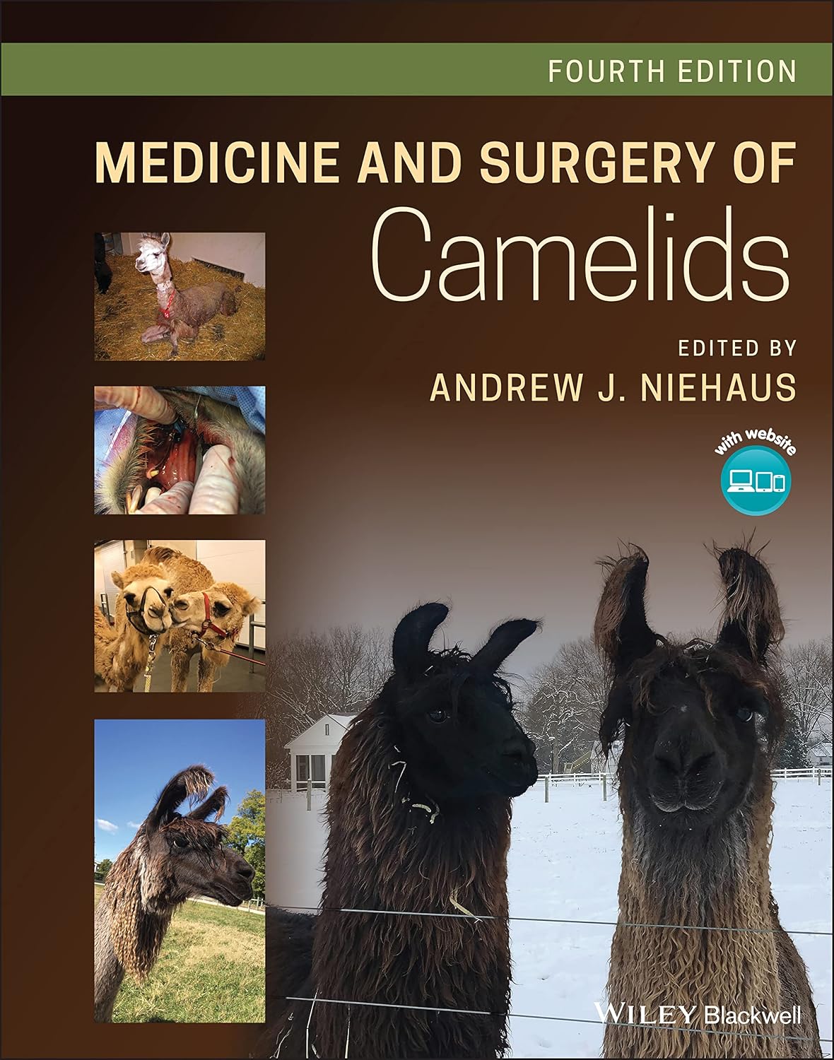 Medicine and Surgery of Camelids 4th Edition
