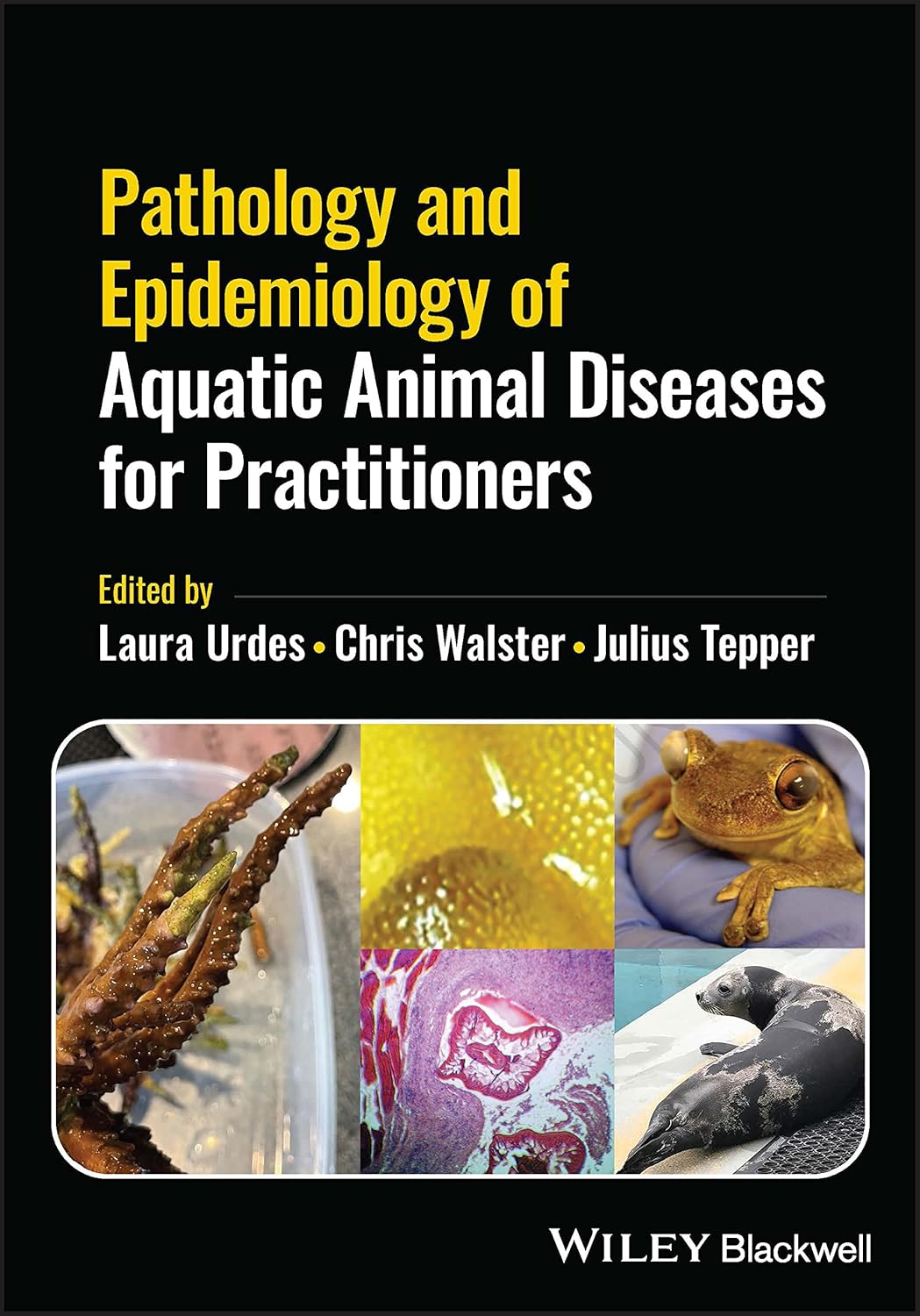 Pathology and Epidemiology of Aquatic Animal Diseases for Practitioners 1st Edition
