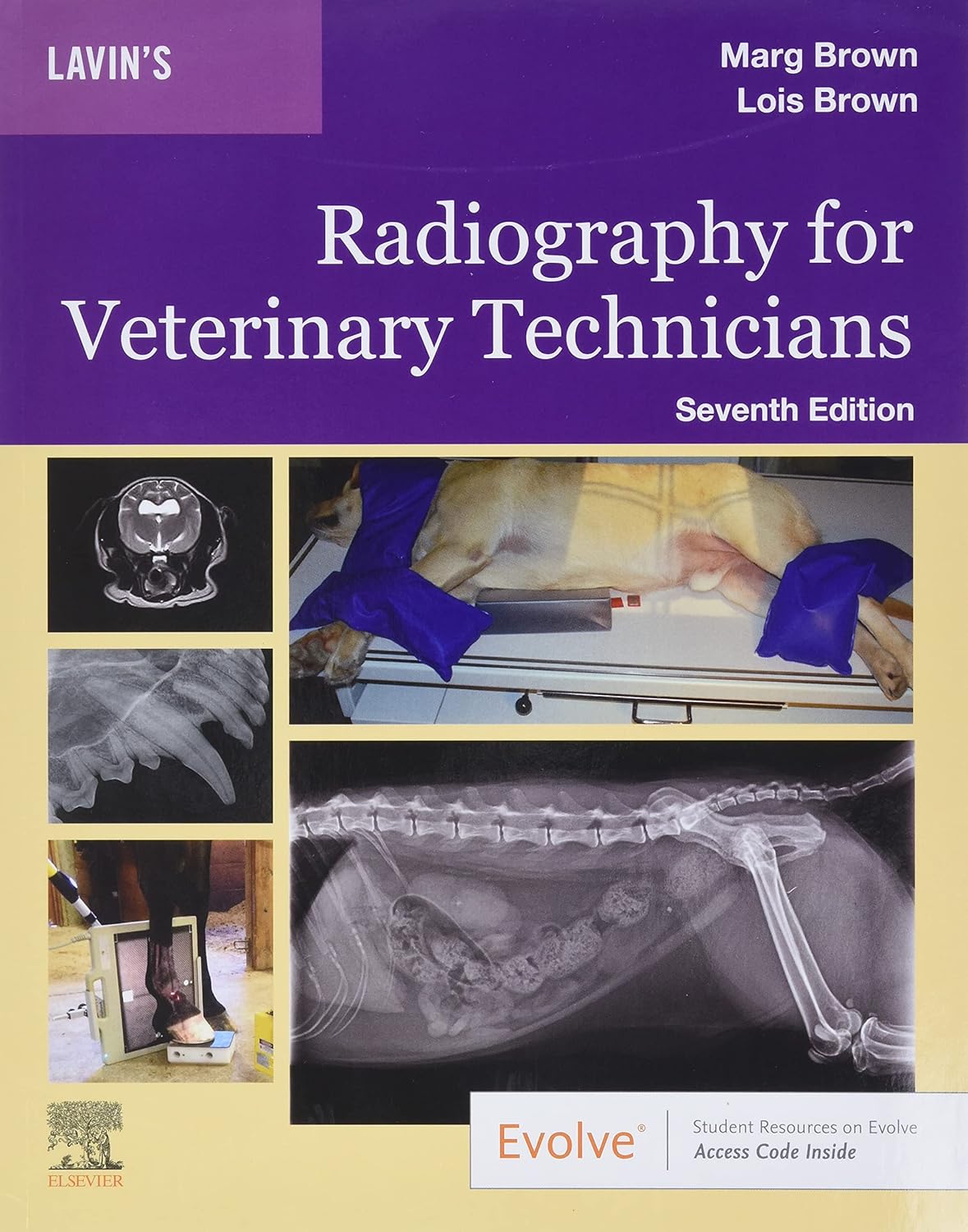 Lavin's Radiography for Veterinary Technicians 7th Edition