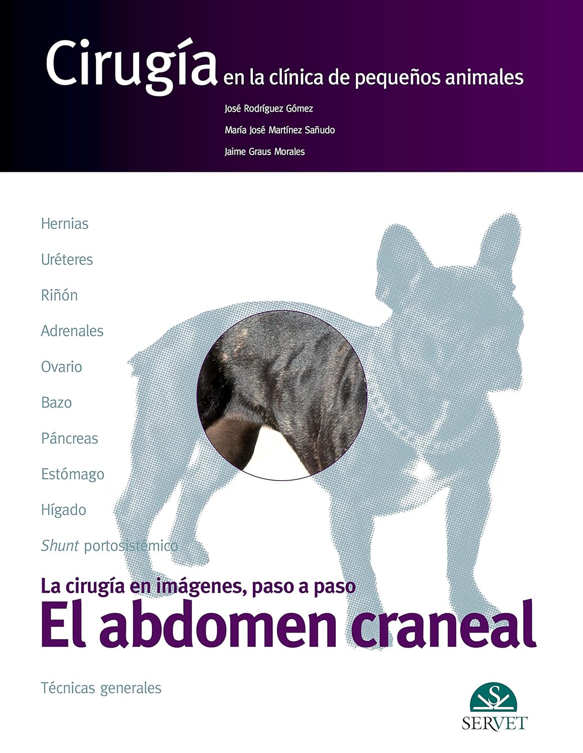 Cirugía en la clínica de pequeños animales. El abdomen craneal
