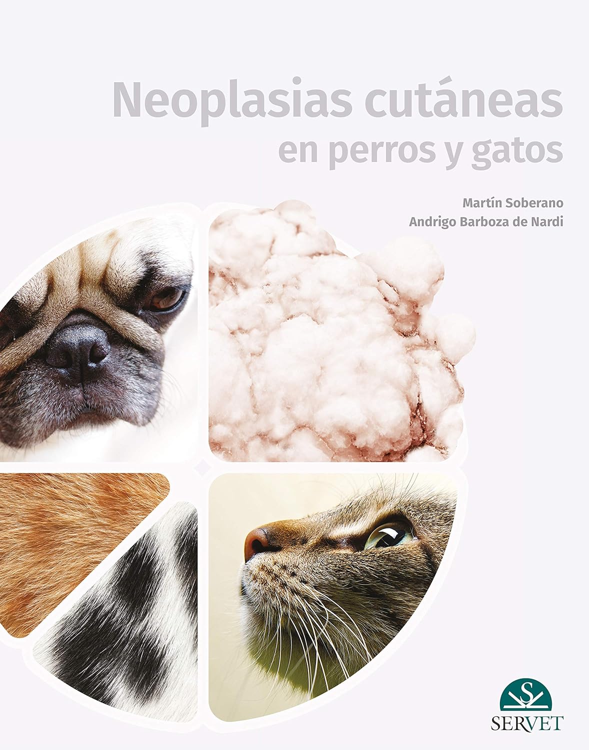 Neoplasias cutáneas en perros y gatos