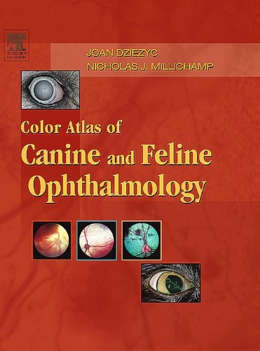 Color Atlas of Canine and Feline Ophthalmology 1st Edition