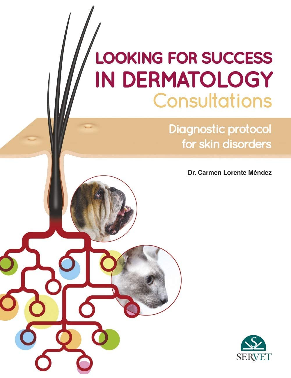 Looking for Success in Dermatology Consultations. Diagnostic Protocol for Skin Disorders