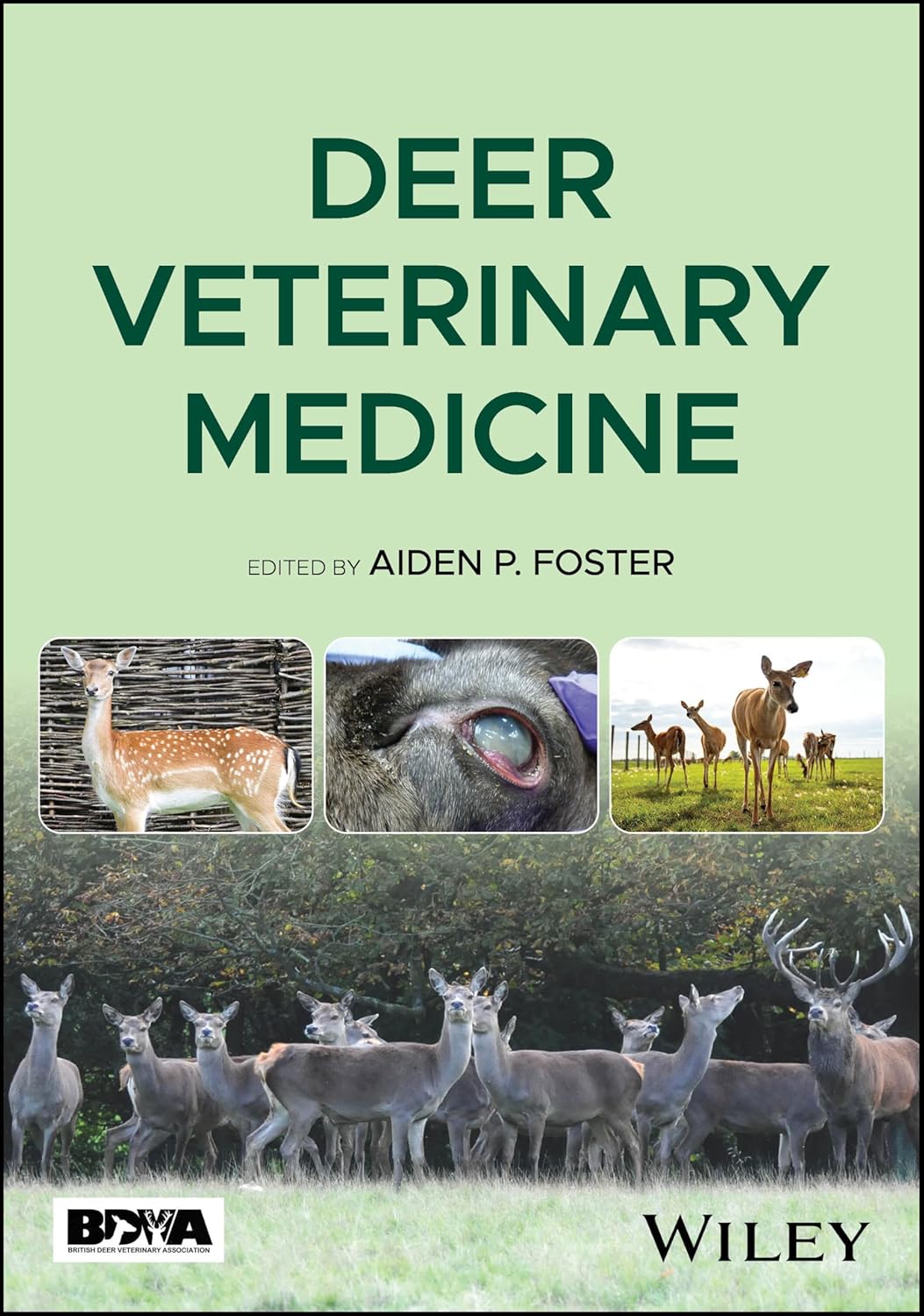 [July 28, 2025] Deer Veterinary Medicine 1st Edition