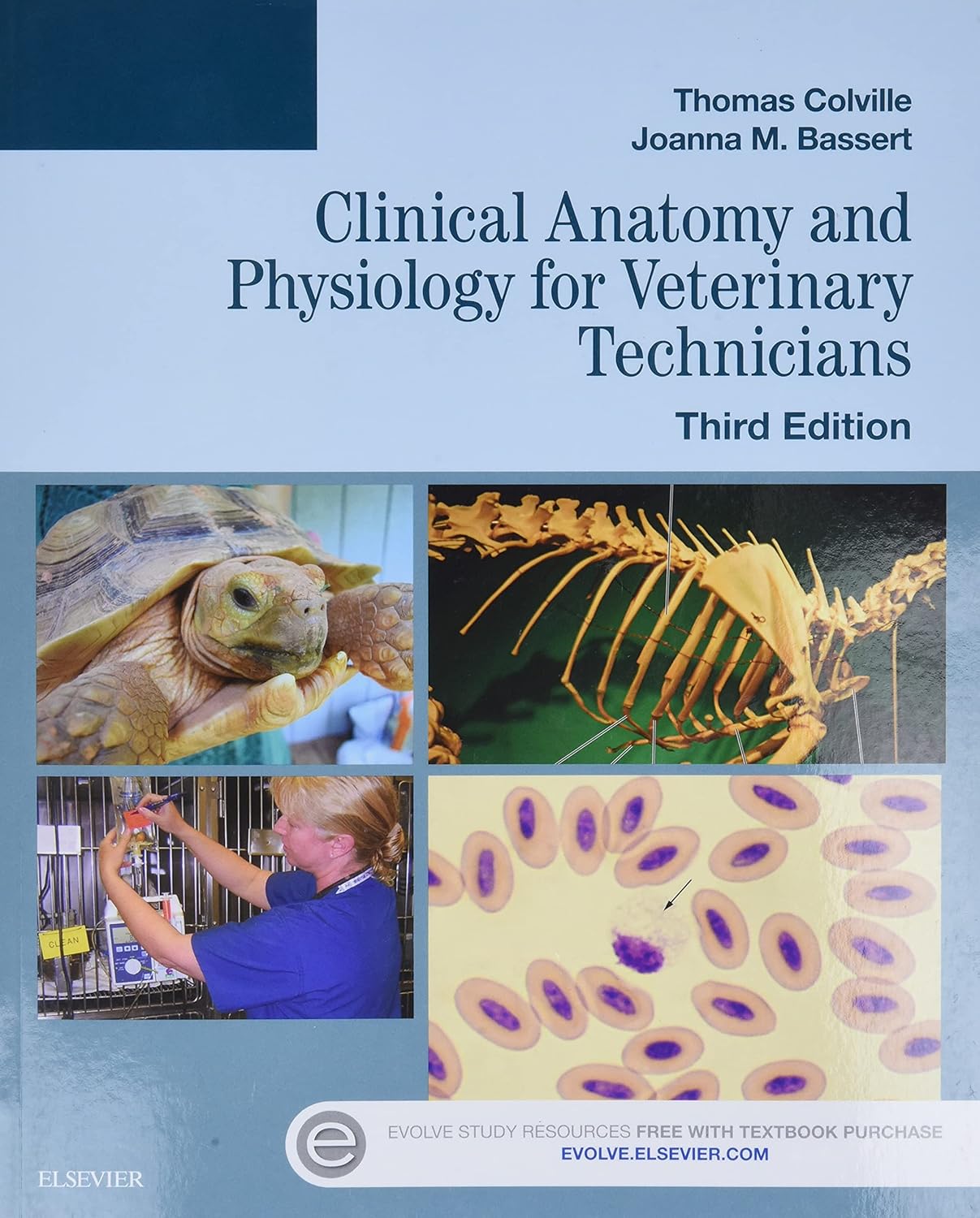 Clinical Anatomy and Physiology for Veterinary Technicians 3rd Edition