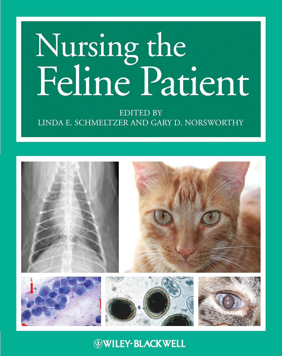 Nursing the Feline Patient 1st Edition