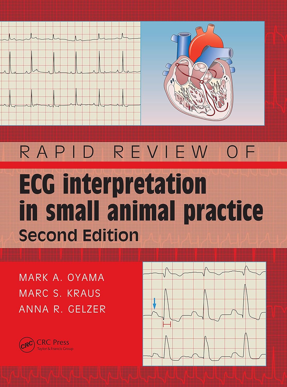 Rapid Review of ECG Interpretation in Small Animal Practice 2nd Edition