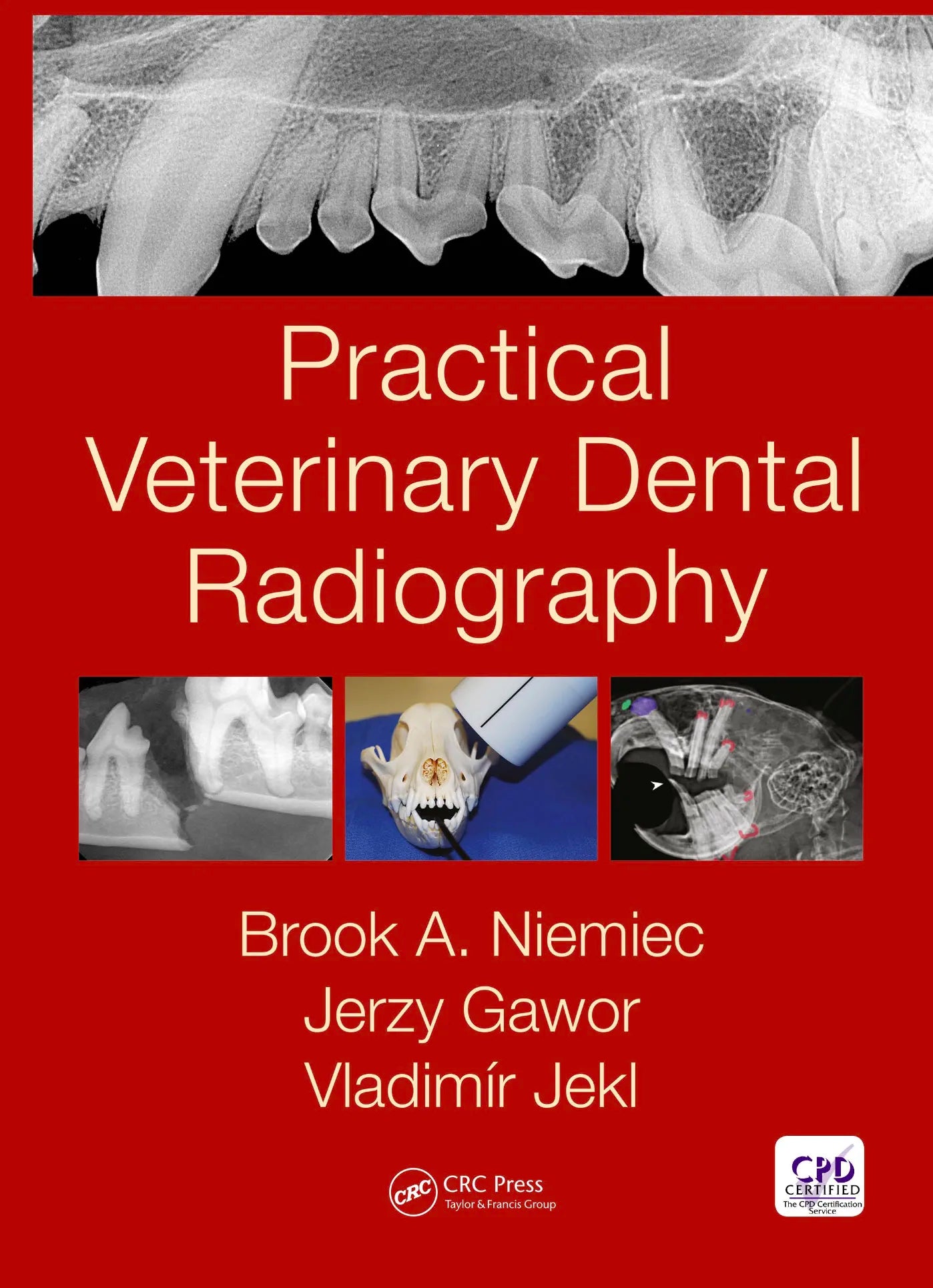 Practical Veterinary Dental Radiography 1st Edition