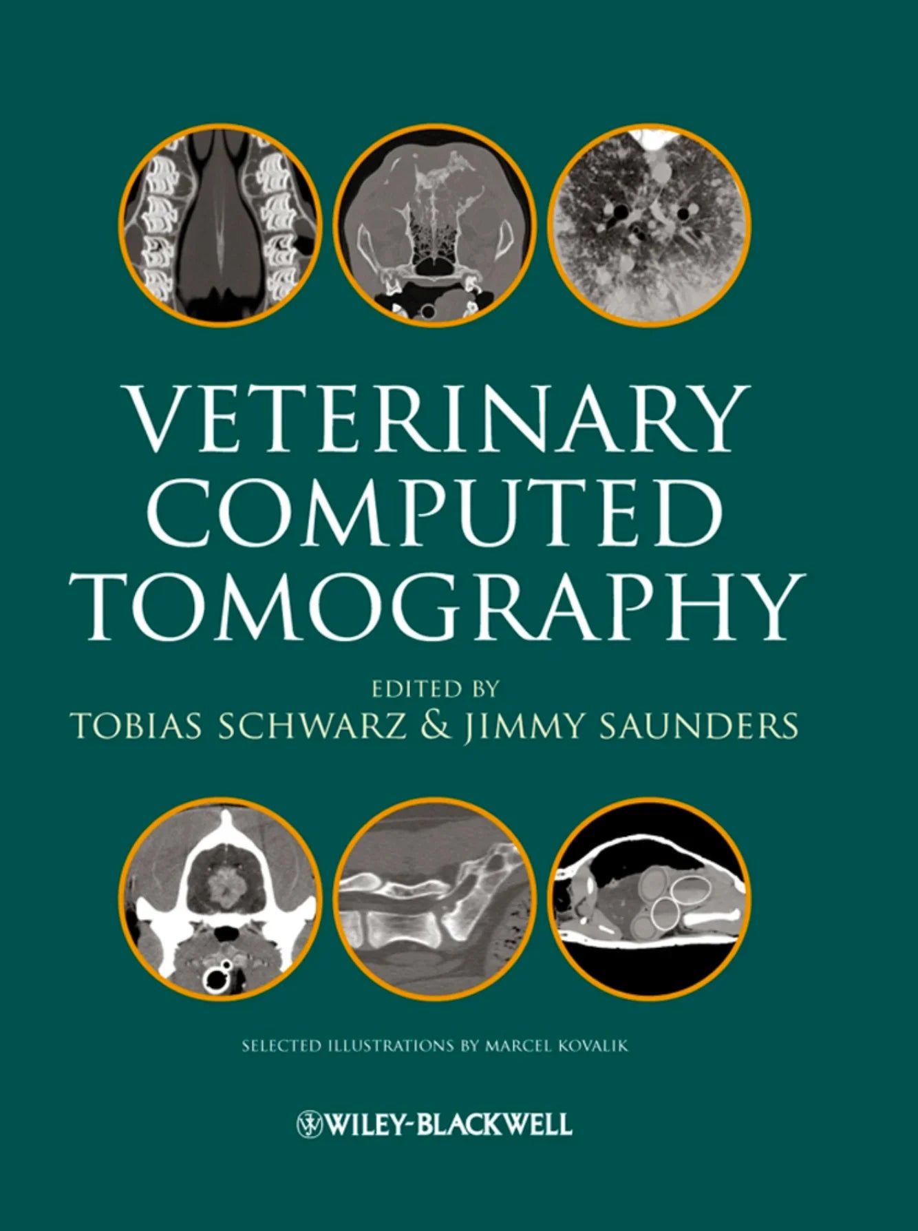 Veterinary Computed Tomography 1st Edition