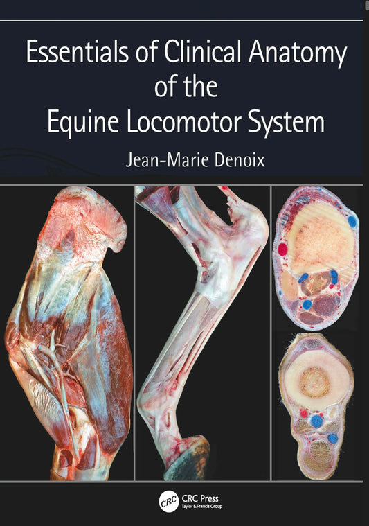 Essentials of Clinical Anatomy of the Equine Locomotor System 1st Edition