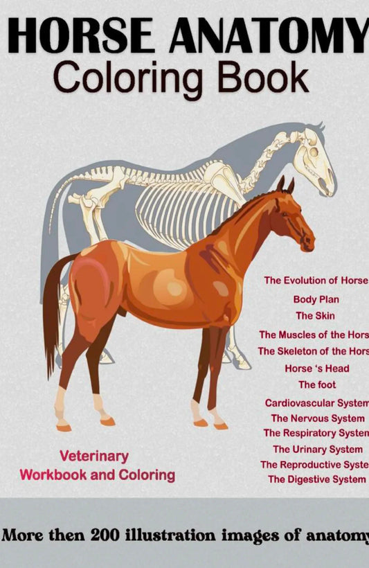 Horse Anatomy Coloring Book